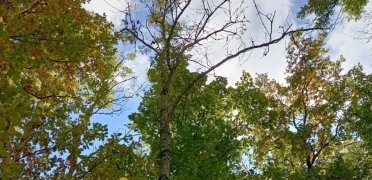 Marquage préventif sécuritaire