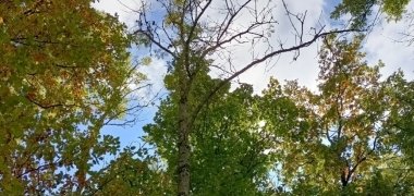 Marquage préventif sécuritaire